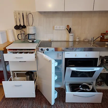 Διαμέρισμα Ferienwohnung Gruenwald Grünwald